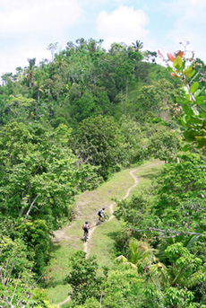 Mountain Biking in Bali