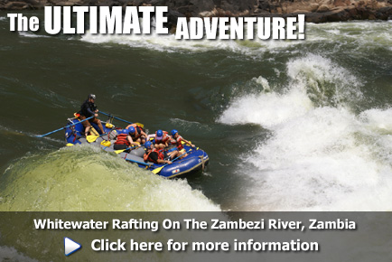 Whitewater Rafting on the Zambezi River, click here for more information